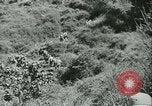 Standbild Signal Corps United States USA, 1943, aus Sekunde 46 historischem Filmmaterial Videoclip 65675021720