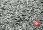 Standbild Signal Corps United States USA, 1943, aus Sekunde 47 historischem Filmmaterial Videoclip 65675021720