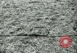 Standbild Signal Corps United States USA, 1943, aus Sekunde 48 historischem Filmmaterial Videoclip 65675021720