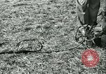 Standbild Signal Corps United States USA, 1943, aus Sekunde 49 historischem Filmmaterial Videoclip 65675021720