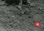 Standbild Signal Corps europäische Theater, 1943, aus Sekunde 35 historischem Filmmaterial Videoclip 65675021722
