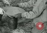 Standbild Signal Corps europäische Theater, 1943, aus Sekunde 52 historischem Filmmaterial Videoclip 65675021722