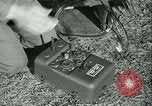 Standbild Signal Corps europäische Theater, 1944, aus Sekunde 33 historischem Filmmaterial Videoclip 65675021723