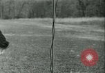 Standbild Signal Corps europäische Theater, 1944, aus Sekunde 51 historischem Filmmaterial Videoclip 65675021723