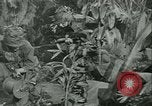 Image of World War II amphibious assault in Pacific Pacific Theater, 1944, second 25 stock footage video 65675021727