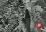 Image of World War II amphibious assault in Pacific Pacific Theater, 1944, second 28 stock footage video 65675021727