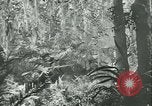 Image of World War II amphibious assault in Pacific Pacific Theater, 1944, second 48 stock footage video 65675021727