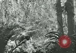 Image of World War II amphibious assault in Pacific Pacific Theater, 1944, second 49 stock footage video 65675021727