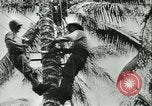 Image of World War II amphibious assault in Pacific Pacific Theater, 1944, second 50 stock footage video 65675021727