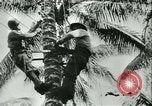 Image of World War II amphibious assault in Pacific Pacific Theater, 1944, second 51 stock footage video 65675021727