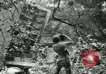Image of Signal Corps United States USA, 1944, second 20 stock footage video 65675021728