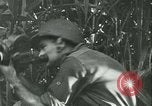Image of Signal Corps United States USA, 1944, second 36 stock footage video 65675021728