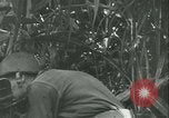 Image of Signal Corps United States USA, 1944, second 37 stock footage video 65675021728