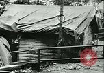 Image of Signal Corps United States USA, 1944, second 9 stock footage video 65675021729