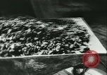 Standbild Zweiten Weltkrieg Deutschland, 1940, aus Sekunde 27 historischem Filmmaterial Videoclip 65675021735