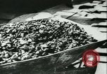 Standbild Zweiten Weltkrieg Deutschland, 1940, aus Sekunde 28 historischem Filmmaterial Videoclip 65675021735