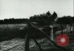 Image Bataille de Pays-Bas Western Front théâtre européen, 1940, de la seconde 49 séquences d'archives historiques vidéo 65675021738