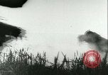 Image of Invasion of Belgium Belgium, 1940, second 44 stock footage video 65675021746