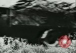 Image of Invasion of Belgium Belgium, 1940, second 52 stock footage video 65675021746