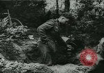 Image of Battle of France France, 1940, second 50 stock footage video 65675021747