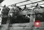 Image of Battle of France Western Front European Theater, 1940, second 38 stock footage video 65675021749