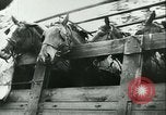 Image of Battle of France Western Front European Theater, 1940, second 39 stock footage video 65675021749