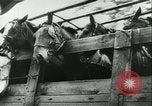 Image of Battle of France Western Front European Theater, 1940, second 40 stock footage video 65675021749
