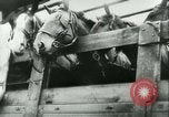 Image of Battle of France Western Front European Theater, 1940, second 42 stock footage video 65675021749