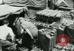 Image of Battle of France Western Front European Theater, 1940, second 54 stock footage video 65675021749