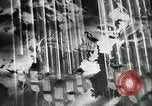 Image bataille de France France, 1940, de la seconde 60 séquences d'archives historiques vidéo 65675021750