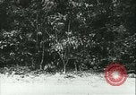 Standbild Schlacht von Frankreich Frankreich, 1940, aus Sekunde 1 historischem Filmmaterial Videoclip 65675021752