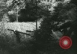 Standbild Schlacht von Frankreich Frankreich, 1940, aus Sekunde 37 historischem Filmmaterial Videoclip 65675021753