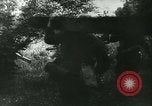 Standbild Schlacht von Frankreich Frankreich, 1940, aus Sekunde 41 historischem Filmmaterial Videoclip 65675021753