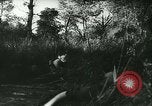 Standbild Schlacht von Frankreich Frankreich, 1940, aus Sekunde 49 historischem Filmmaterial Videoclip 65675021753