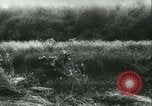 Standbild Schlacht von Frankreich Frankreich, 1940, aus Sekunde 16 historischem Filmmaterial Videoclip 65675021754