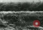Standbild Schlacht von Frankreich Frankreich, 1940, aus Sekunde 17 historischem Filmmaterial Videoclip 65675021754