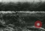 Standbild Schlacht von Frankreich Frankreich, 1940, aus Sekunde 18 historischem Filmmaterial Videoclip 65675021754