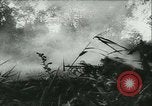 Standbild Schlacht von Frankreich Frankreich, 1940, aus Sekunde 30 historischem Filmmaterial Videoclip 65675021754