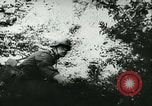 Standbild Schlacht von Frankreich Frankreich, 1940, aus Sekunde 40 historischem Filmmaterial Videoclip 65675021754