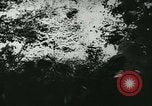Standbild Schlacht von Frankreich Frankreich, 1940, aus Sekunde 44 historischem Filmmaterial Videoclip 65675021754