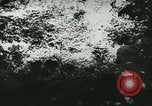 Standbild Schlacht von Frankreich Frankreich, 1940, aus Sekunde 45 historischem Filmmaterial Videoclip 65675021754