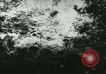 Standbild Schlacht von Frankreich Frankreich, 1940, aus Sekunde 46 historischem Filmmaterial Videoclip 65675021754