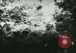 Standbild Schlacht von Frankreich Frankreich, 1940, aus Sekunde 47 historischem Filmmaterial Videoclip 65675021754