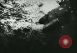 Standbild Schlacht von Frankreich Frankreich, 1940, aus Sekunde 48 historischem Filmmaterial Videoclip 65675021754