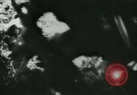 Standbild Schlacht von Frankreich Frankreich, 1940, aus Sekunde 49 historischem Filmmaterial Videoclip 65675021754