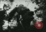 Standbild Schlacht von Frankreich Frankreich, 1940, aus Sekunde 50 historischem Filmmaterial Videoclip 65675021754
