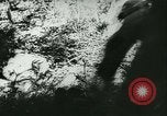 Standbild Schlacht von Frankreich Frankreich, 1940, aus Sekunde 51 historischem Filmmaterial Videoclip 65675021754