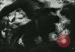 Standbild Schlacht von Frankreich Frankreich, 1940, aus Sekunde 52 historischem Filmmaterial Videoclip 65675021754