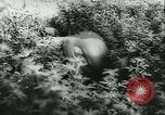 Standbild Schlacht von Frankreich Frankreich, 1940, aus Sekunde 57 historischem Filmmaterial Videoclip 65675021754