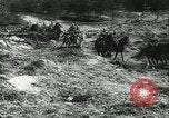 Image of Battle of France France, 1940, second 20 stock footage video 65675021755